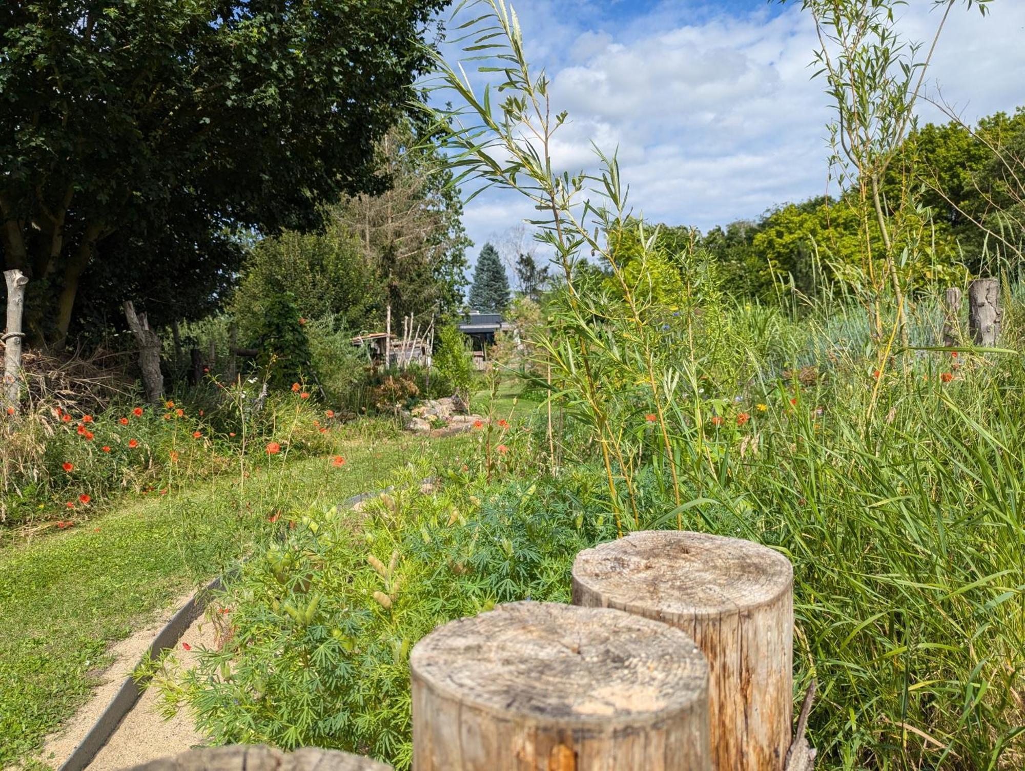 Ferienhaus Naturwerk Schwarzach am Main Εξωτερικό φωτογραφία